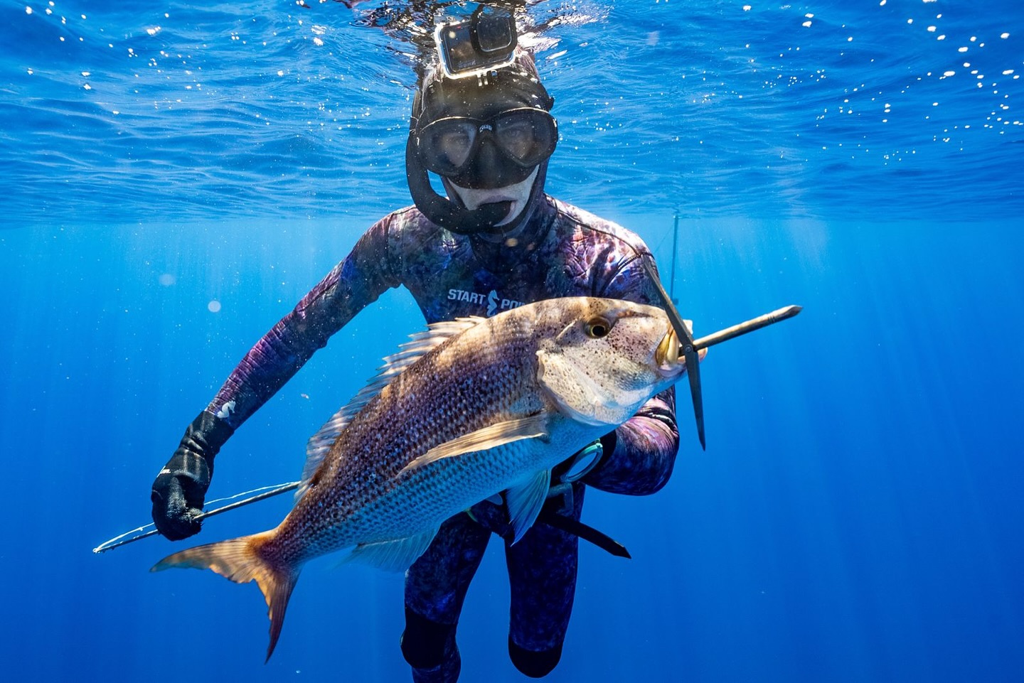 Person having speared fish under water with a Start Point wetsuit
